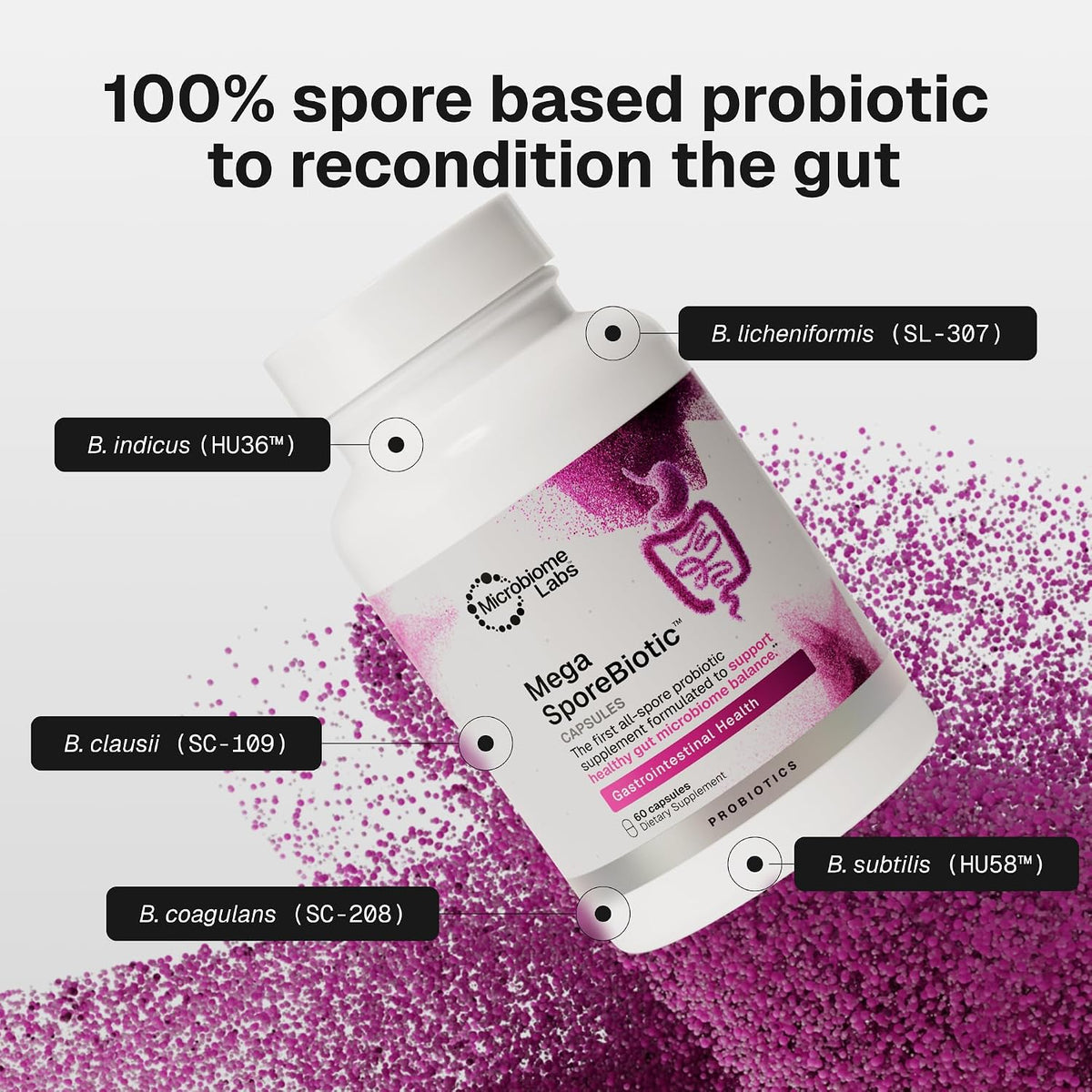Microbiome Labs MegaSporeBiotic – Spore-Based Probiotic, 60 Capsules